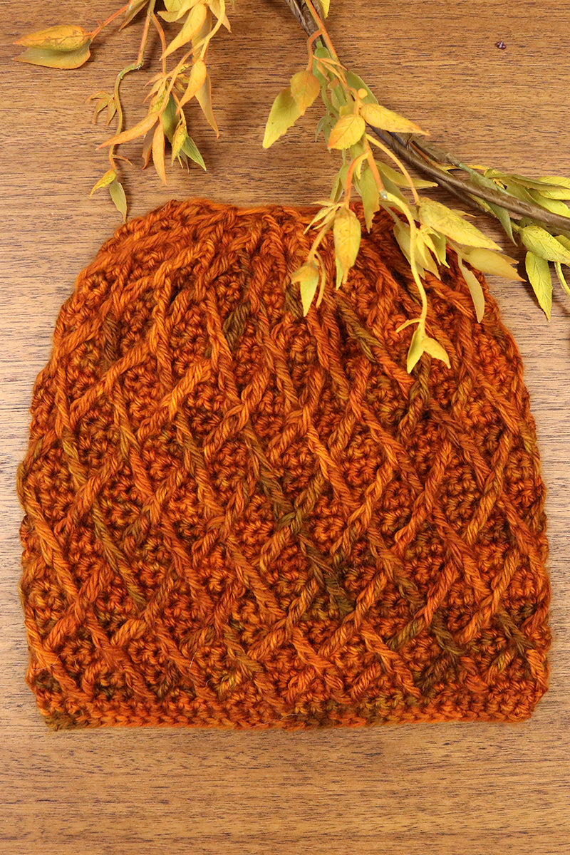 Jimmy Beans Wool Exclusive PDF Patterns - 24 New and Exciting Beanies by Beans - Instant PDF Download