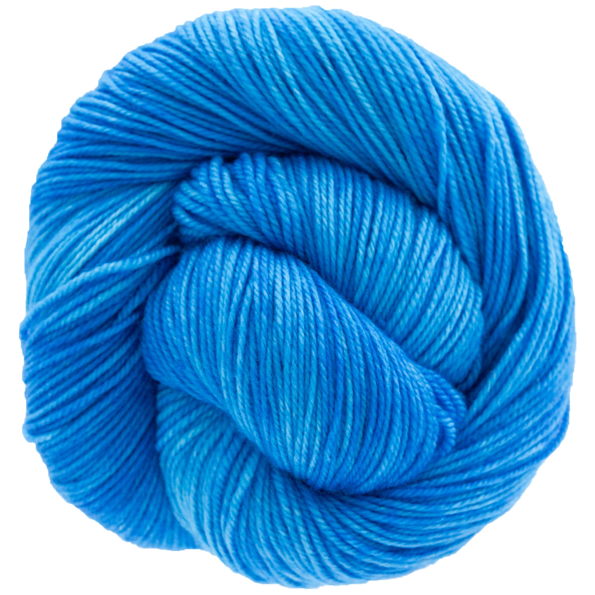 Dream in Color Smooshy Yarn - Exquisite Violet's Blueberry Hand - Dyed Yarn