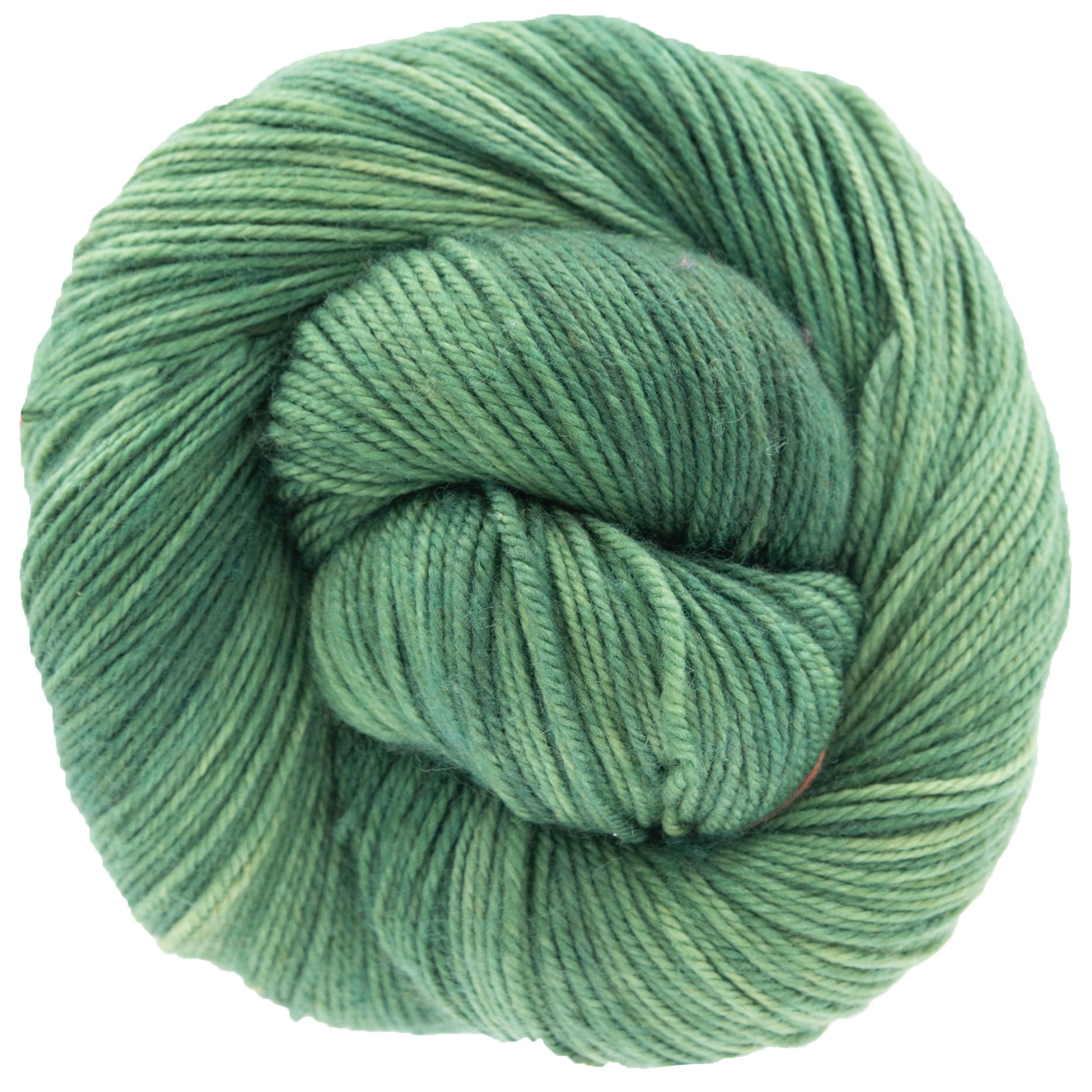 Dream in Color Smooshy Yarn - Power Plant: Hand - Dyed Superwash Merino Blend