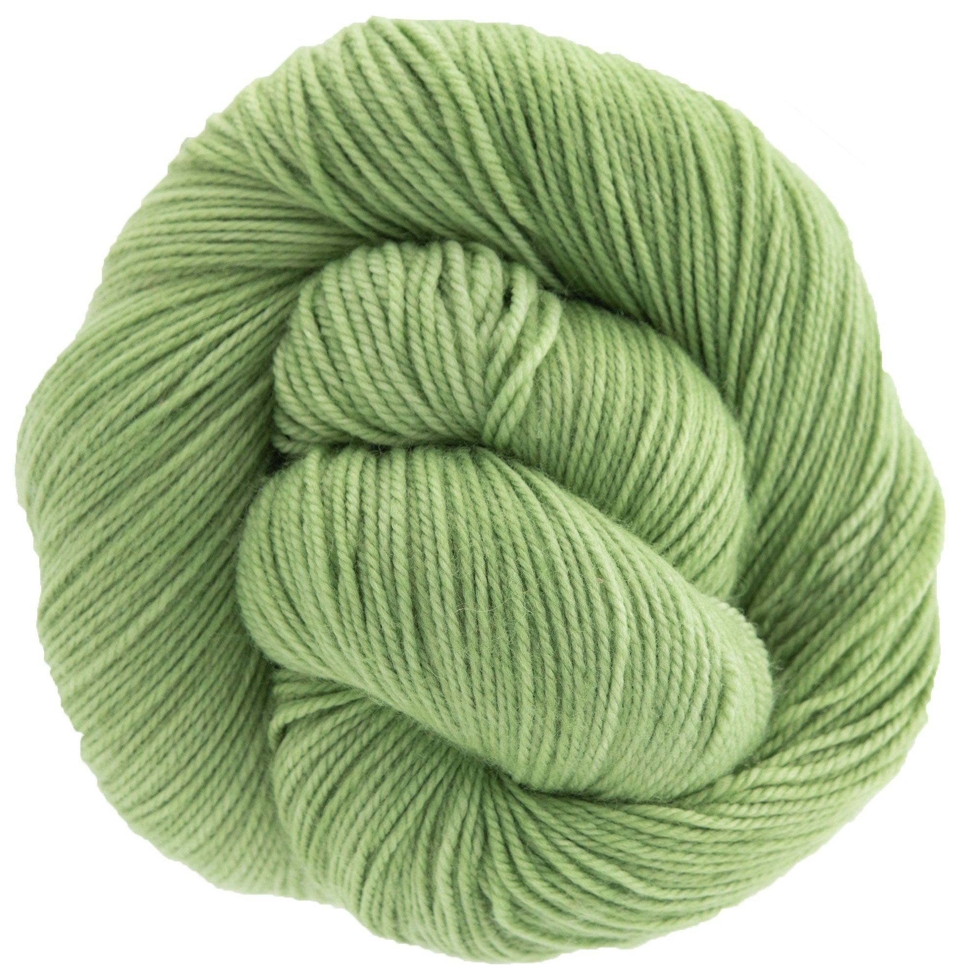 Dream in Color Stunning Smooshy Yarn - Sprout