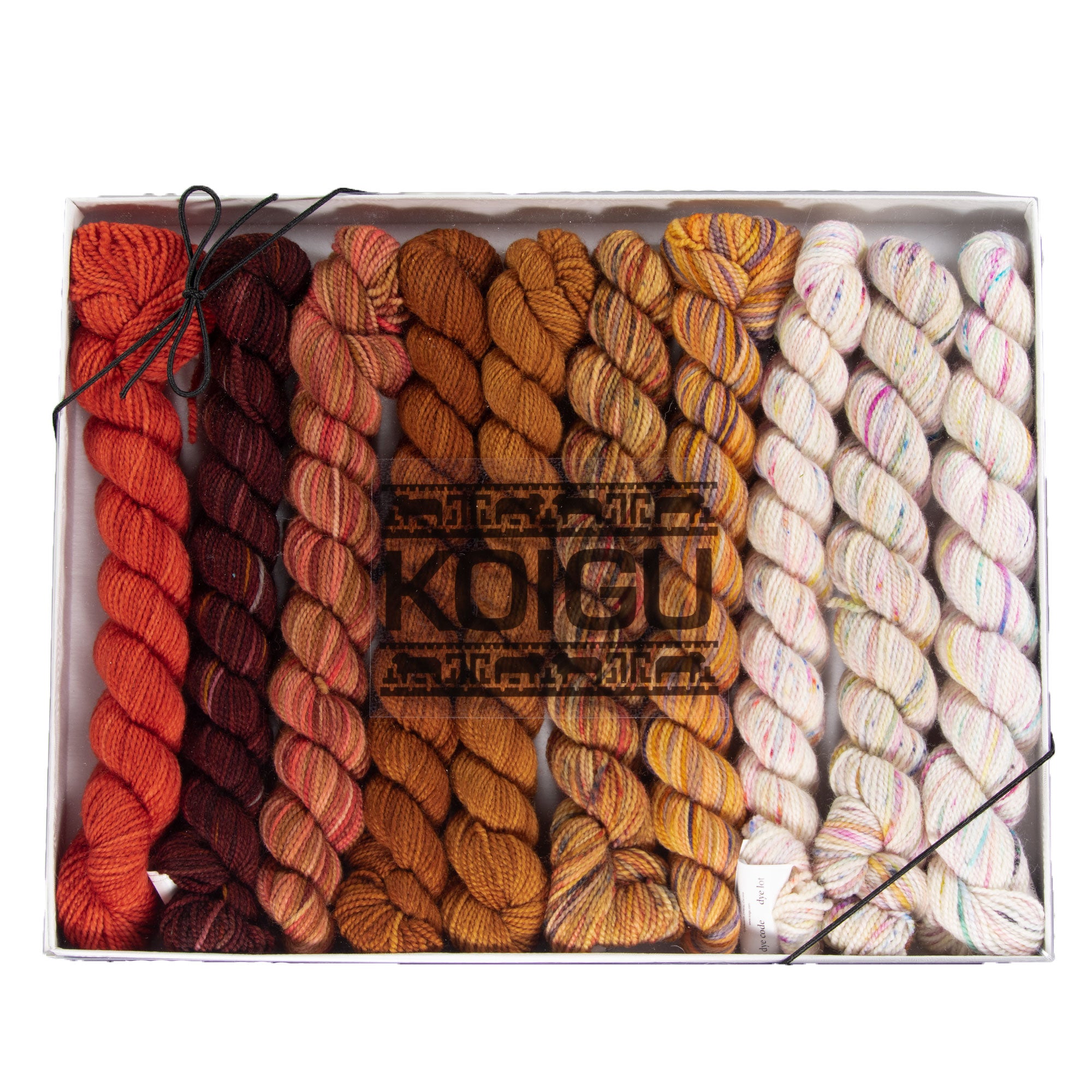 Koigu Hand - Painted Pencil Box Yarn for Venation Shawl - Original