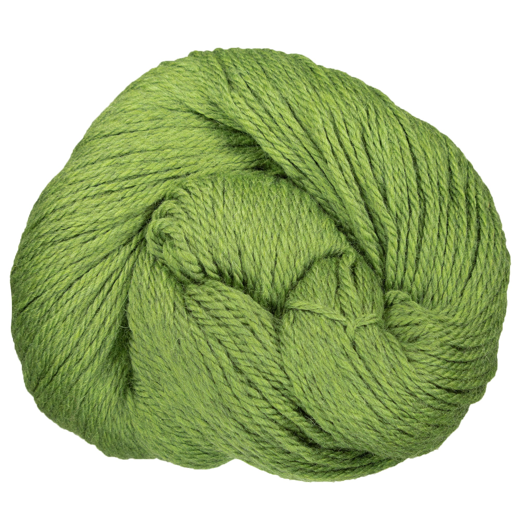 Cascade Yarns Premium 220 Superwash Grande Yarn - 1919 Turtle