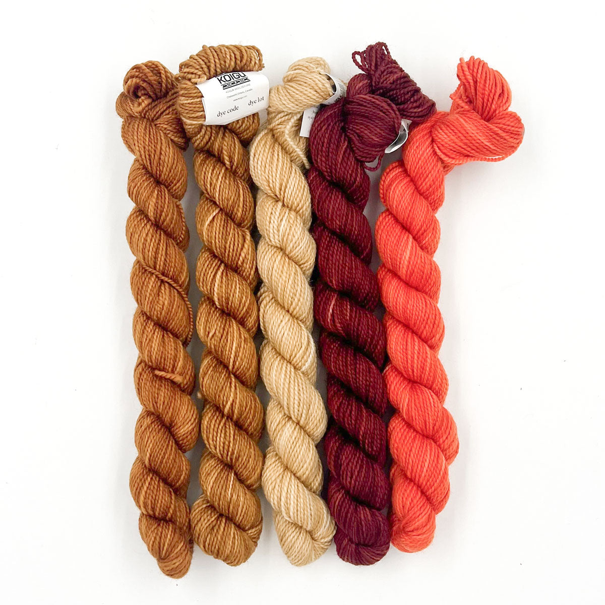 Koigu Paint Cans Fingering - Weight Yarn in Browns for Knitting, Crochet, and More