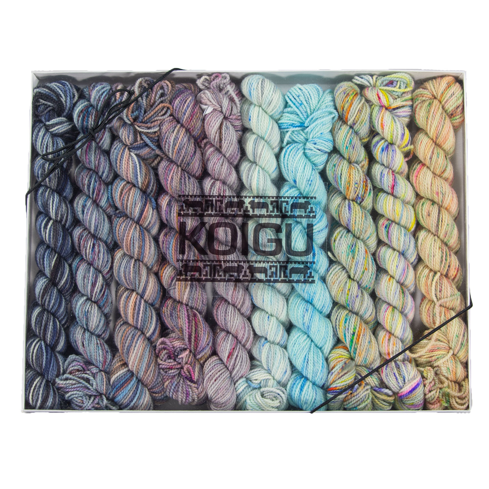 Koigu Hand - Painted Neutral Winter Storm Pencil Box Yarn Set