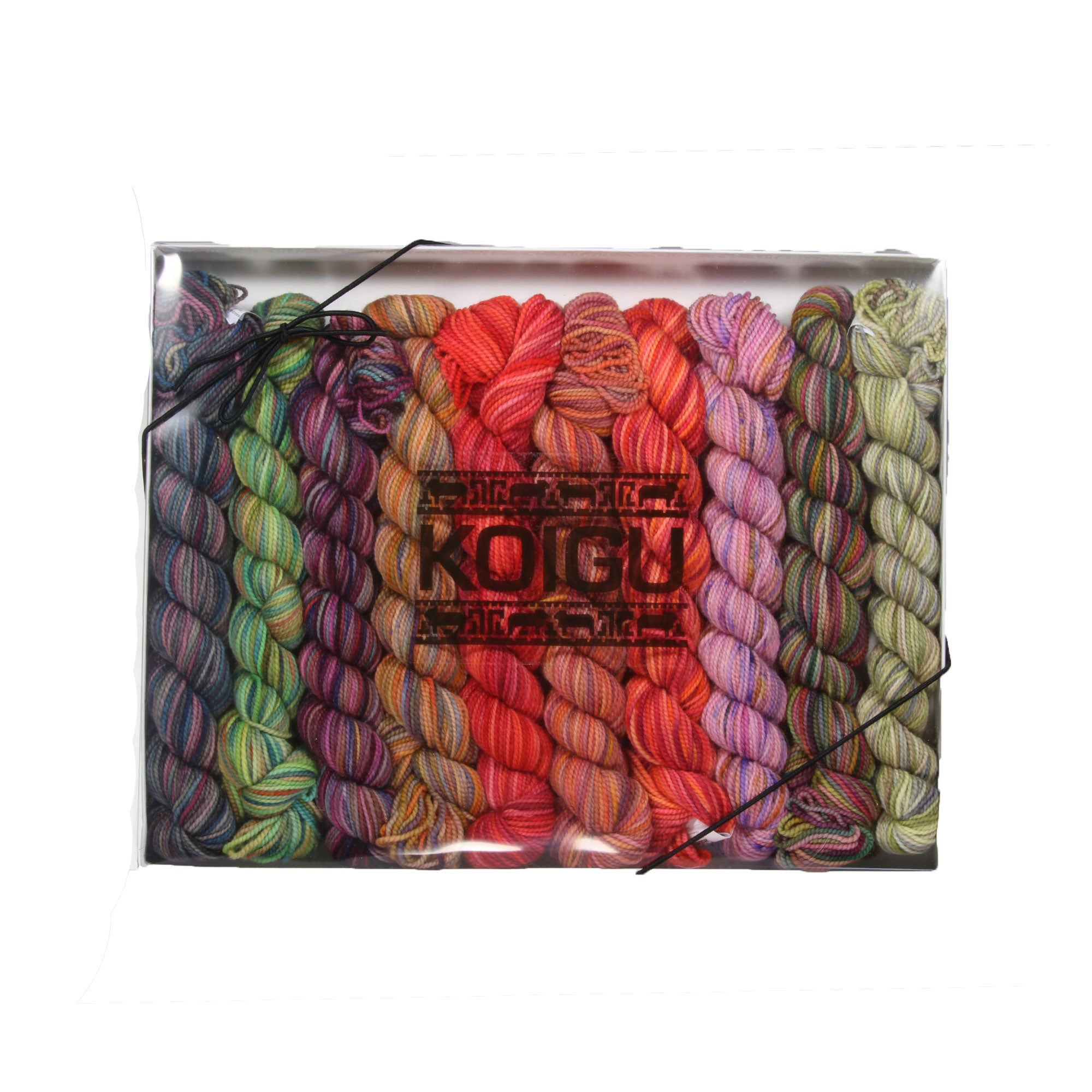 Koigu Hand - Painted Urban Dweller Pencil Box Yarn Set