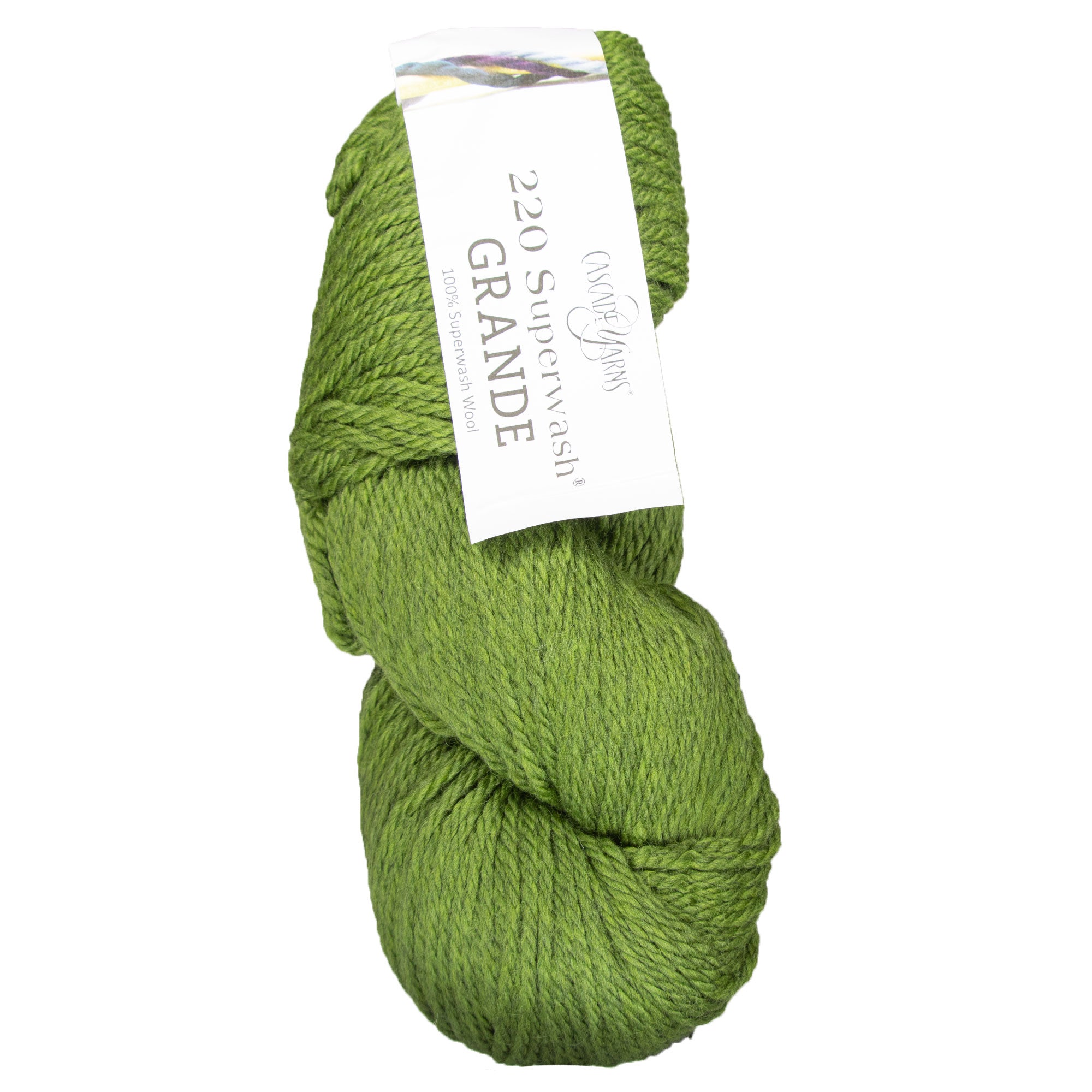 Cascade Yarns Premium 220 Superwash Grande Yarn - 1919 Turtle
