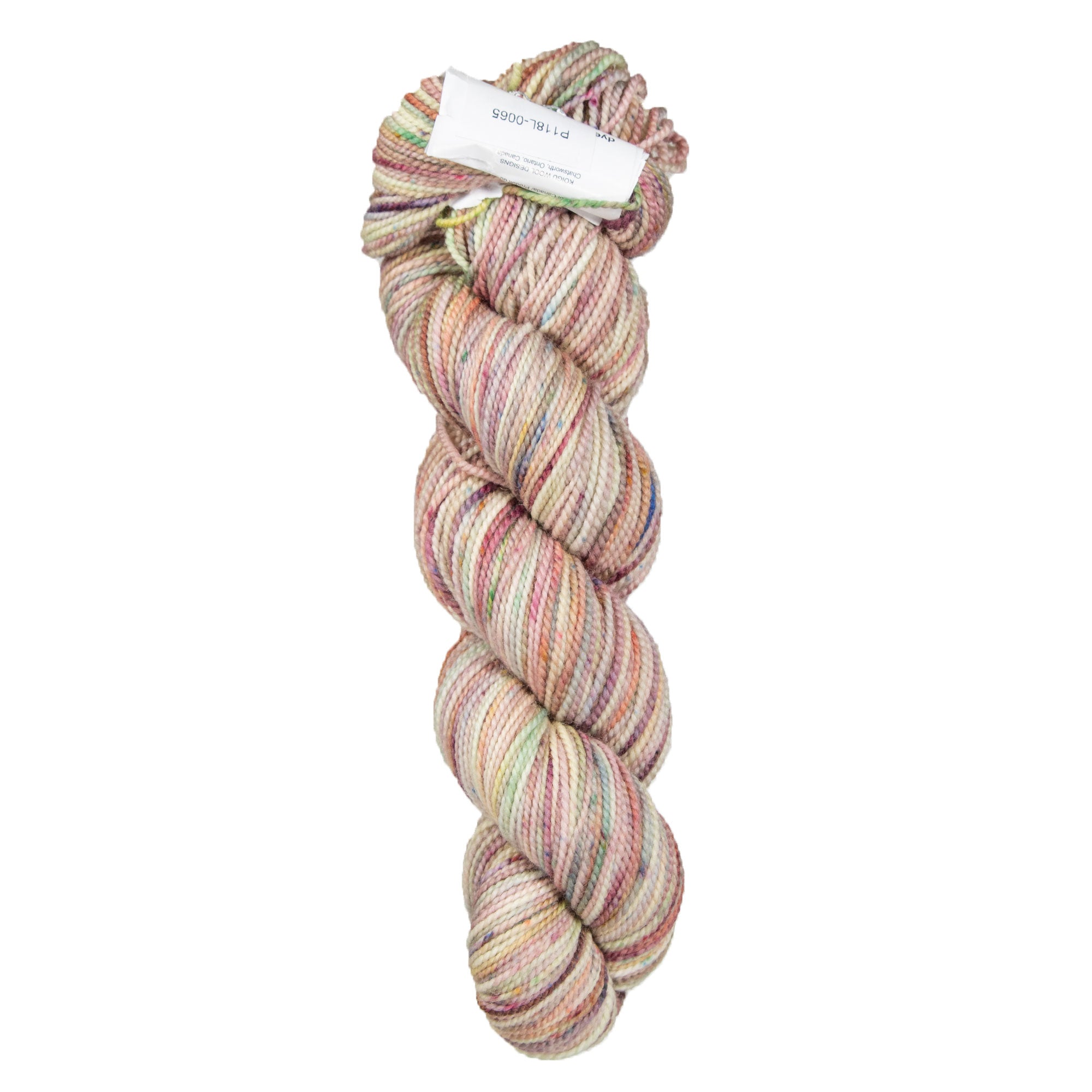 Koigu KPPPM Premium Merino Fingering - Weight Yarn in Exquisite P118L Colorway