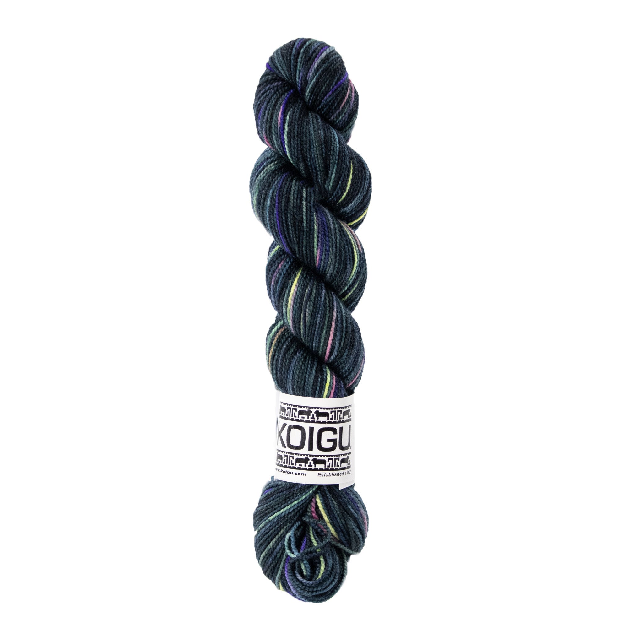 Exquisite Koigu KPPPM Hand - Painted Fingering - Weight Yarn in P063 Colorway
