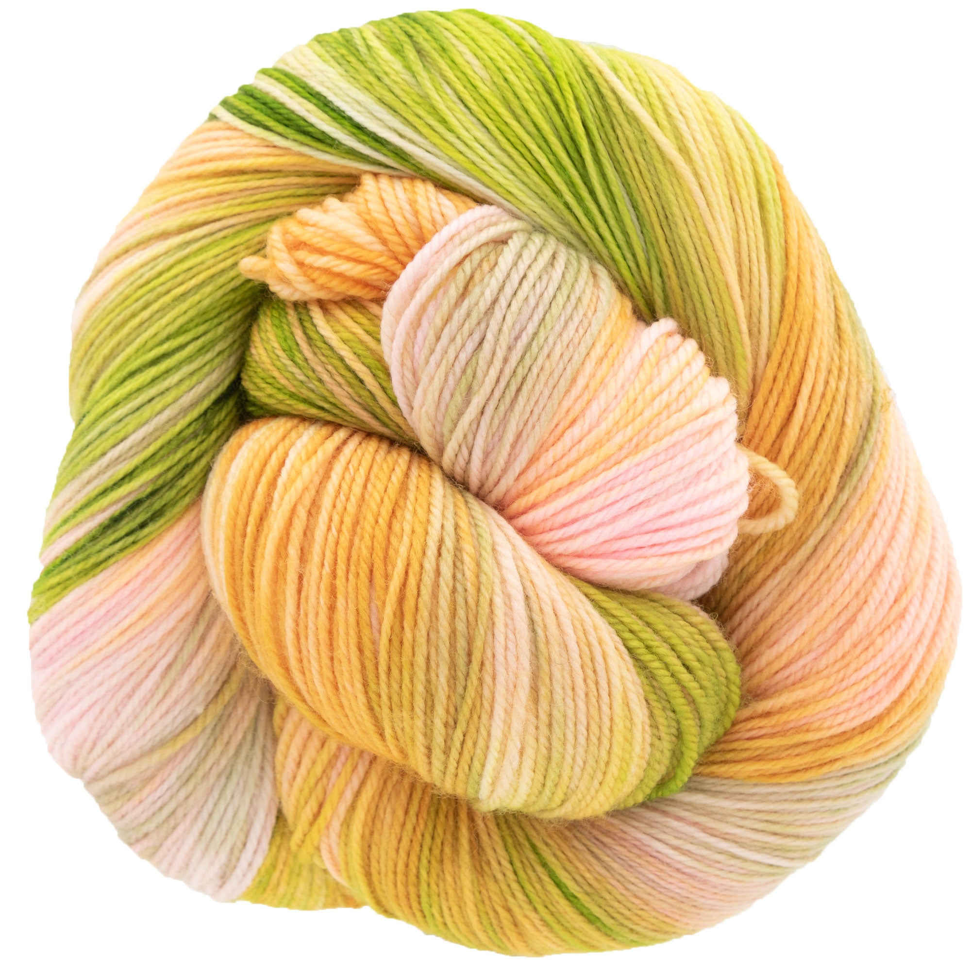 Dream in Color Smooshy Yarn - Guava Nice Day: Hand - Dyed Superwash Merino Nylon Yarn