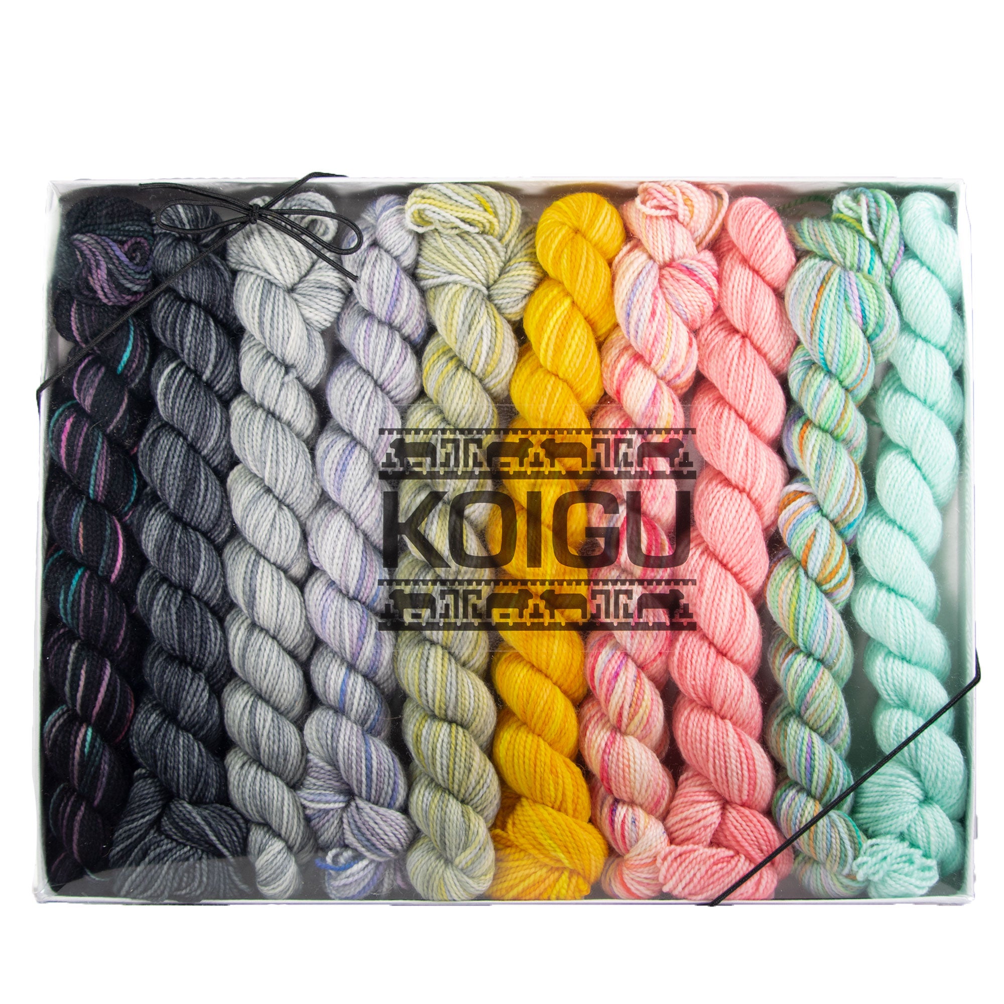 Koigu Hand - Painted Supermoon Fingering - Weight Merino Wool Yarn in Pencil Box