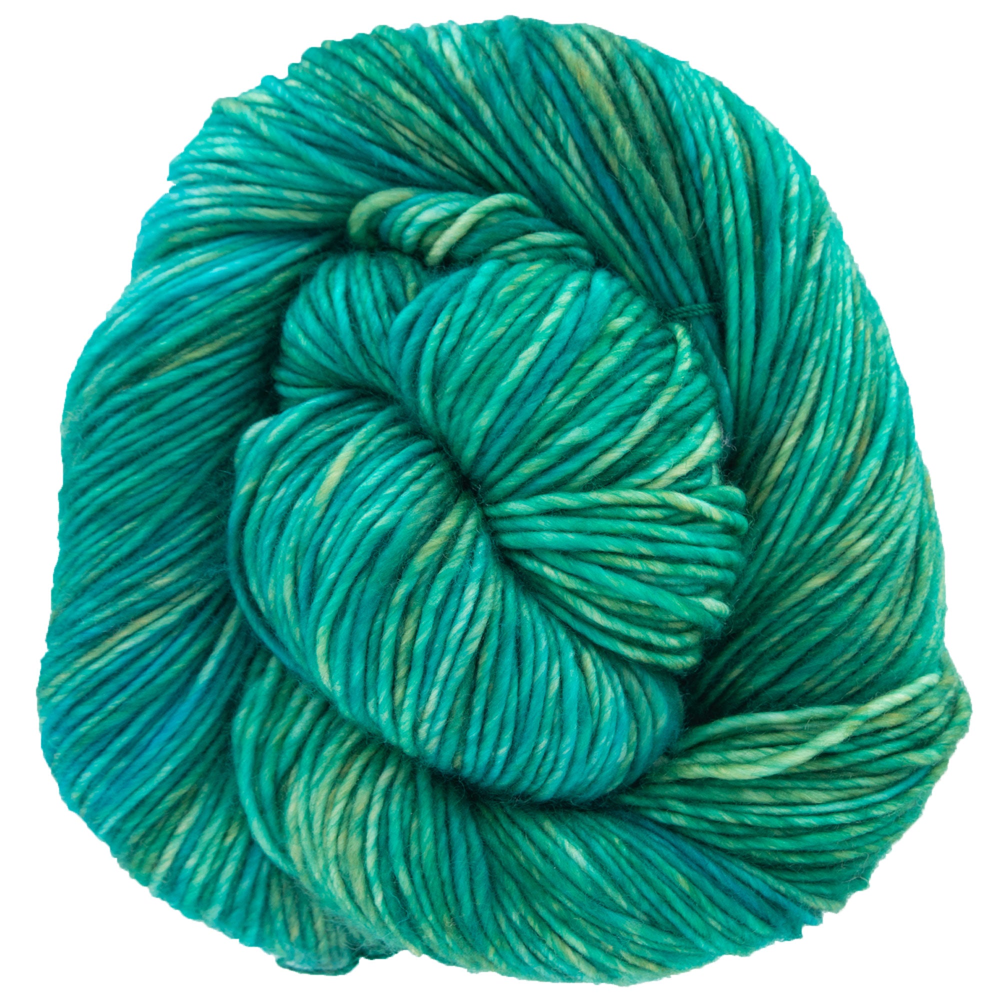 Dream in Color Riley Yarn - Shuyler Lake: Exquisite Superwash Merino Wool