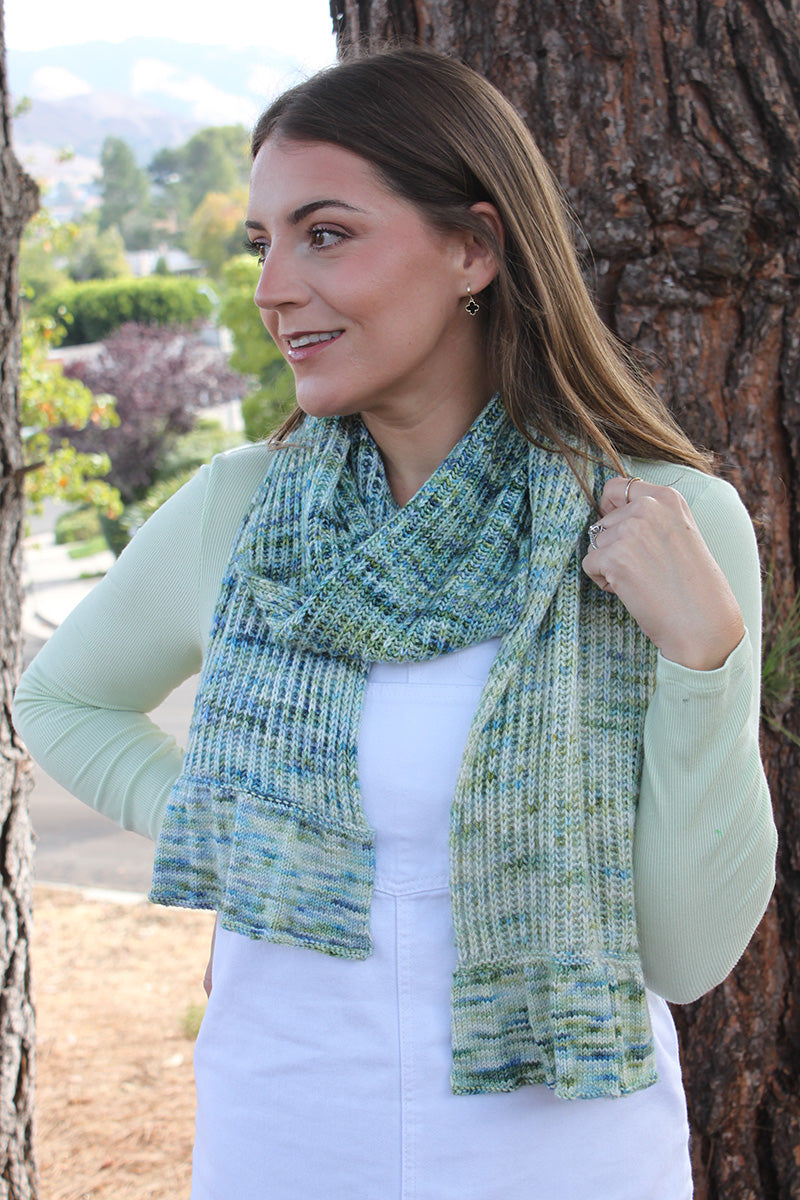 Dream In Color Frosted Forest Scarf Kit with Enchanting Fen Color for Beginner and Seasoned Knitters