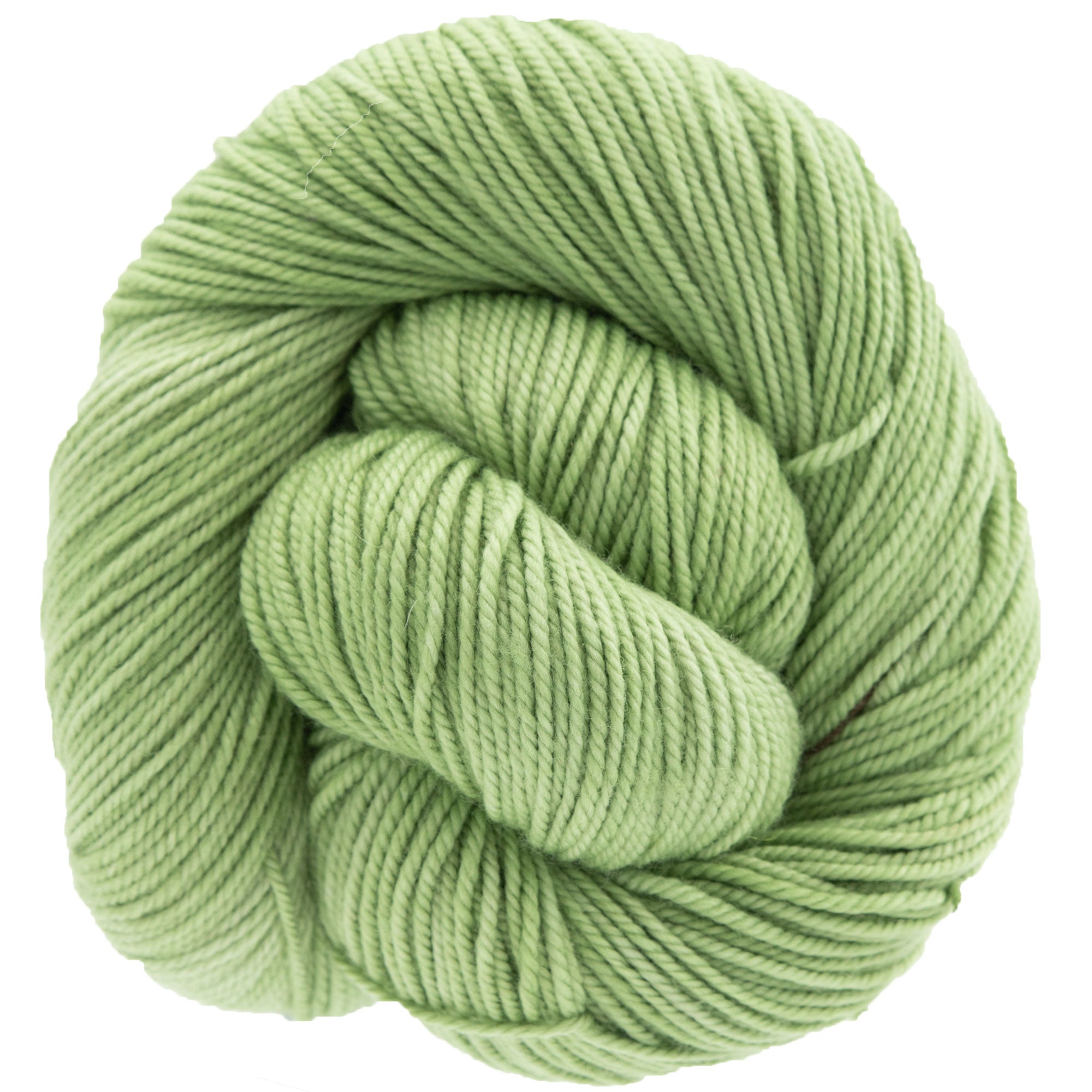 Dream in Color Cosette Sprout DK - Weight Yarn for Exquisite Creations