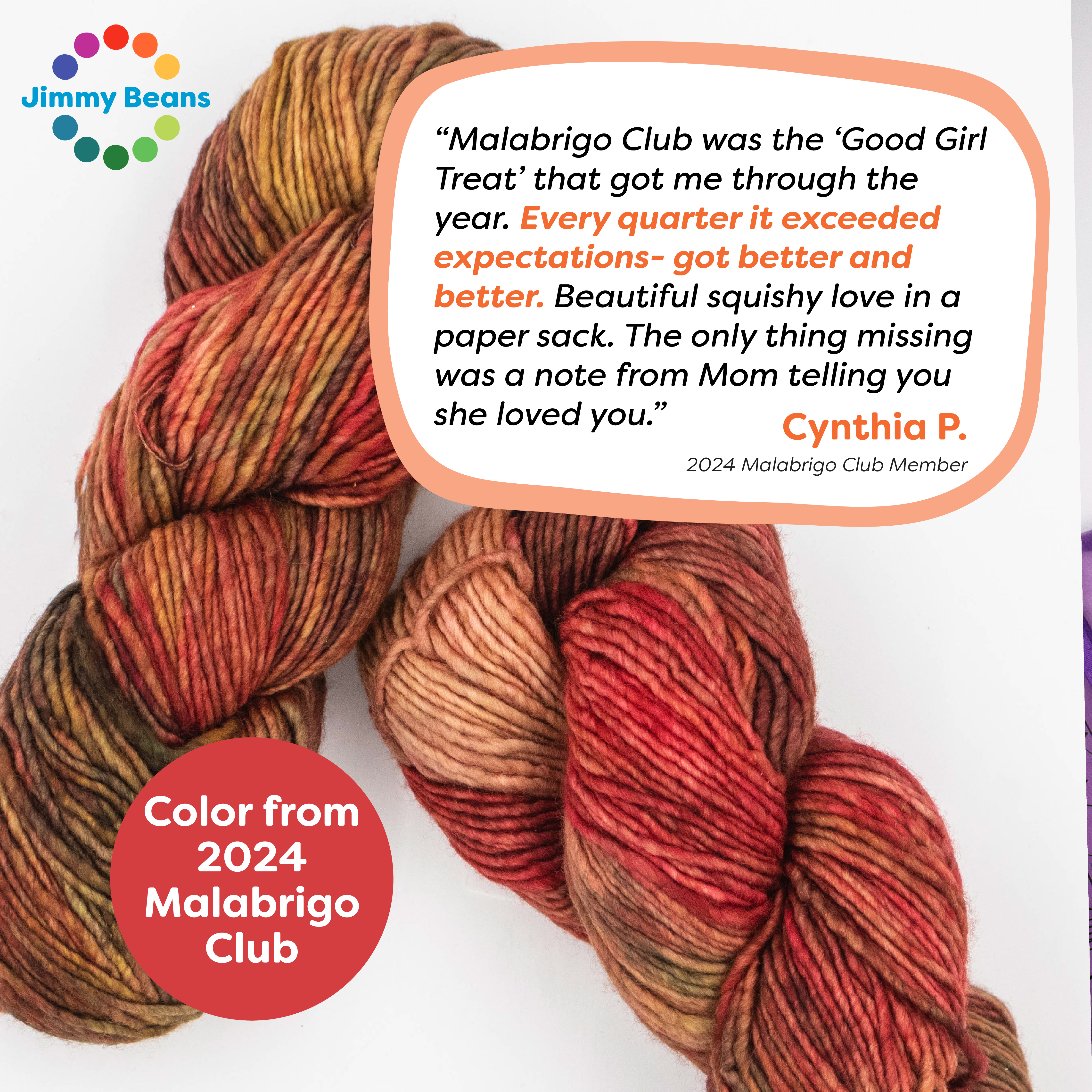 Jimmy Beans Wool 2025 Malabrigo Quarterly Club Kits - Exclusive Custom - Dyed Yarn & Travel Set