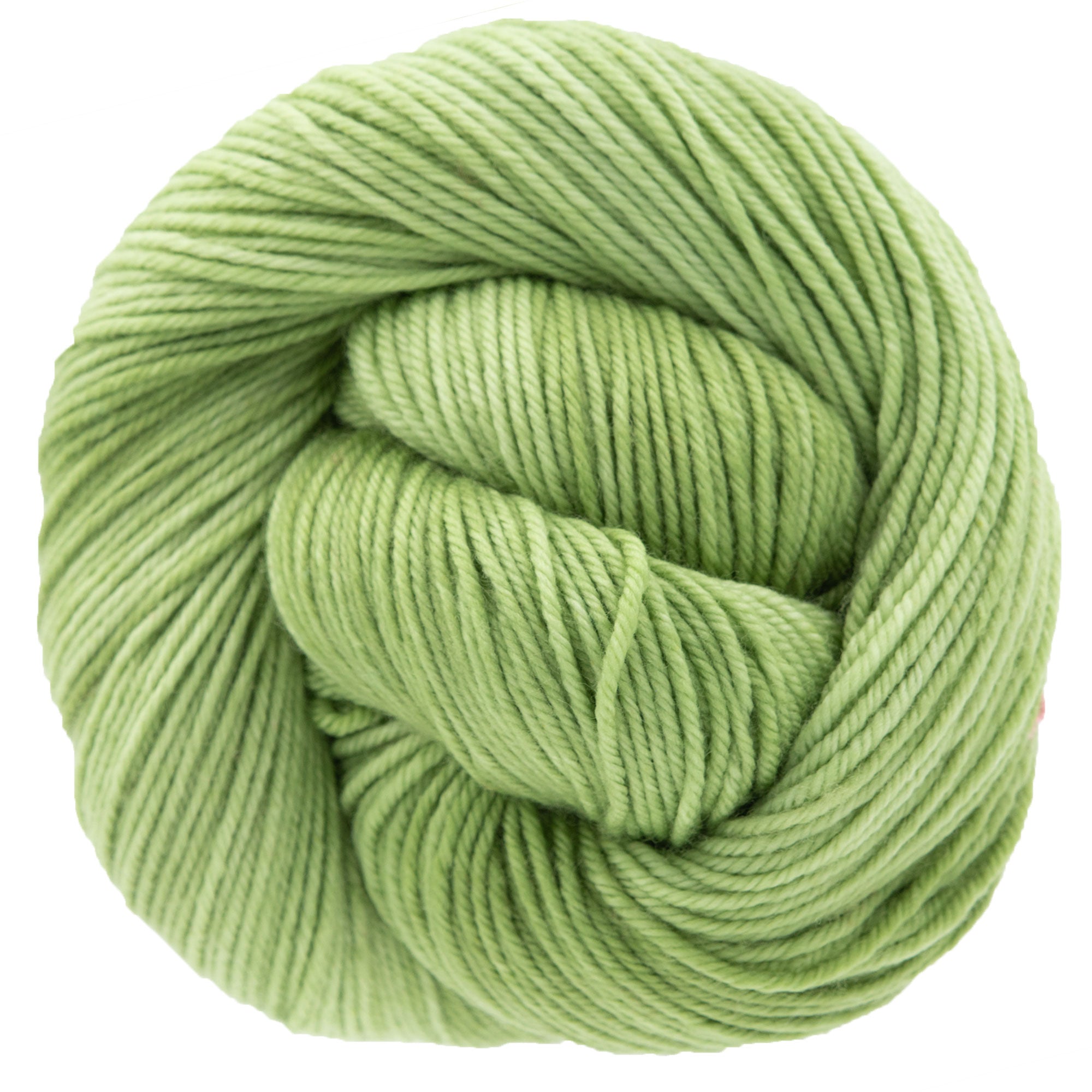 Dream in Color Classy Yarn - Sprout: Extra Fine Superwash Merino Wool for All Projects