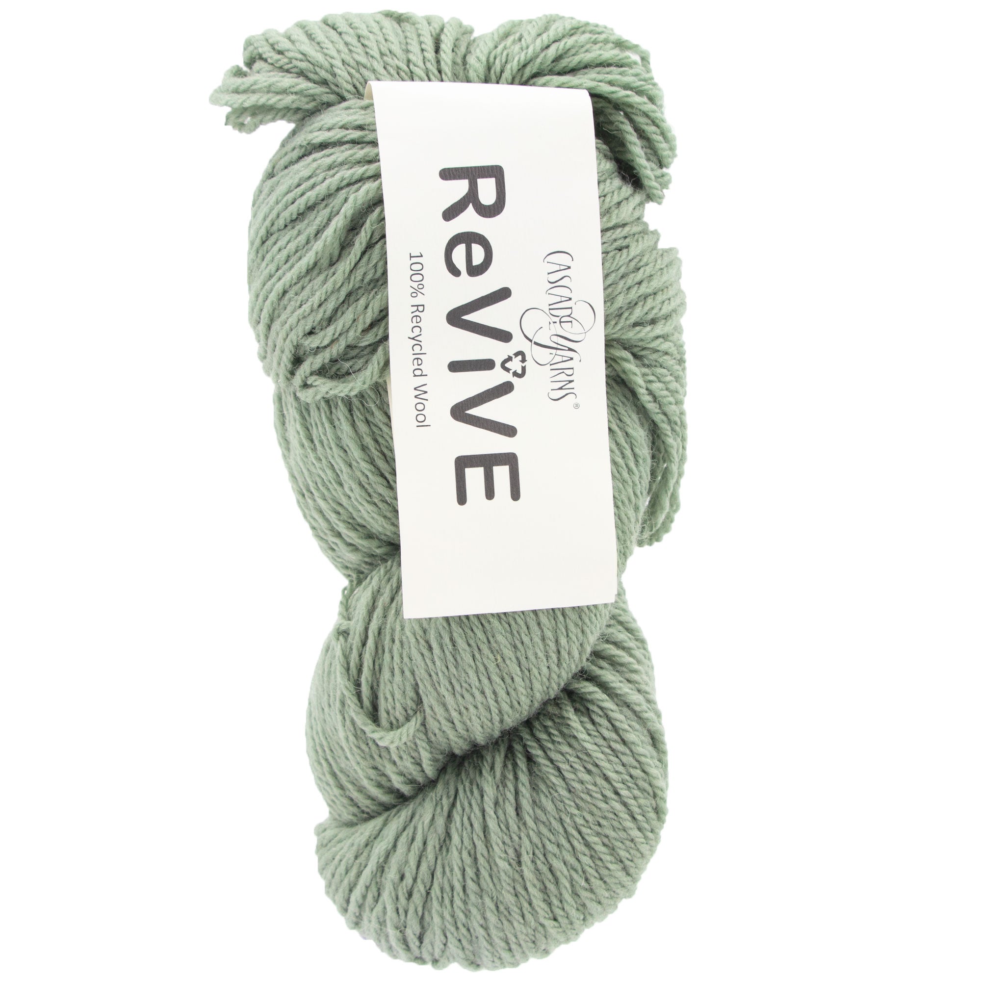 Cascade Yarns ReVive Worsted Gauge Recycled Wool Yarn - 02 Seagrass