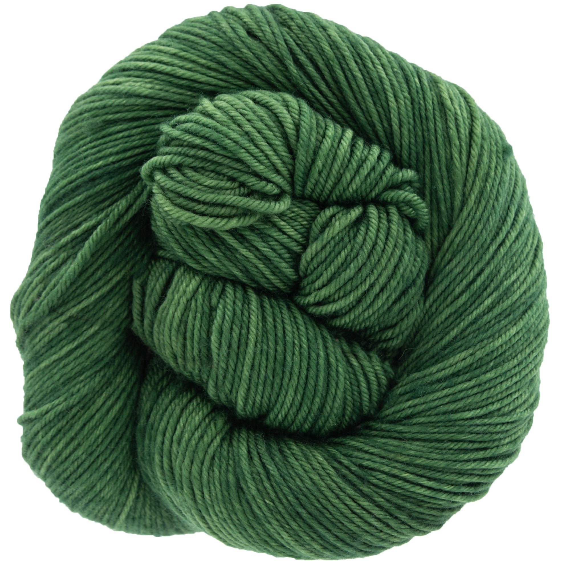 Dream in Color Classy Yarn - Power Plant: Super Soft Superwash Merino Wool