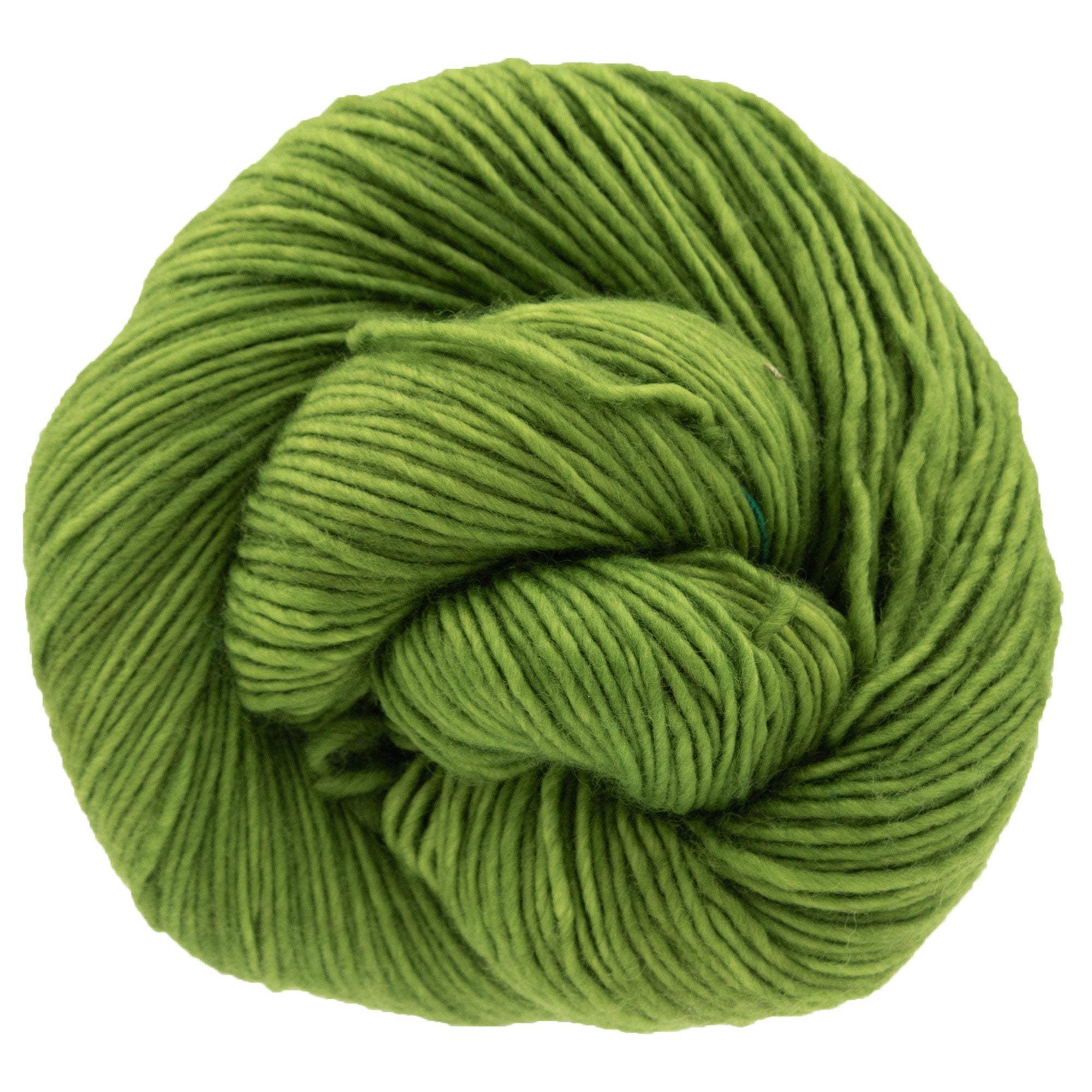 Dream in Color Riley Yarn - Joshua Tree: Soft Superwash Merino for Knitting & Crochet