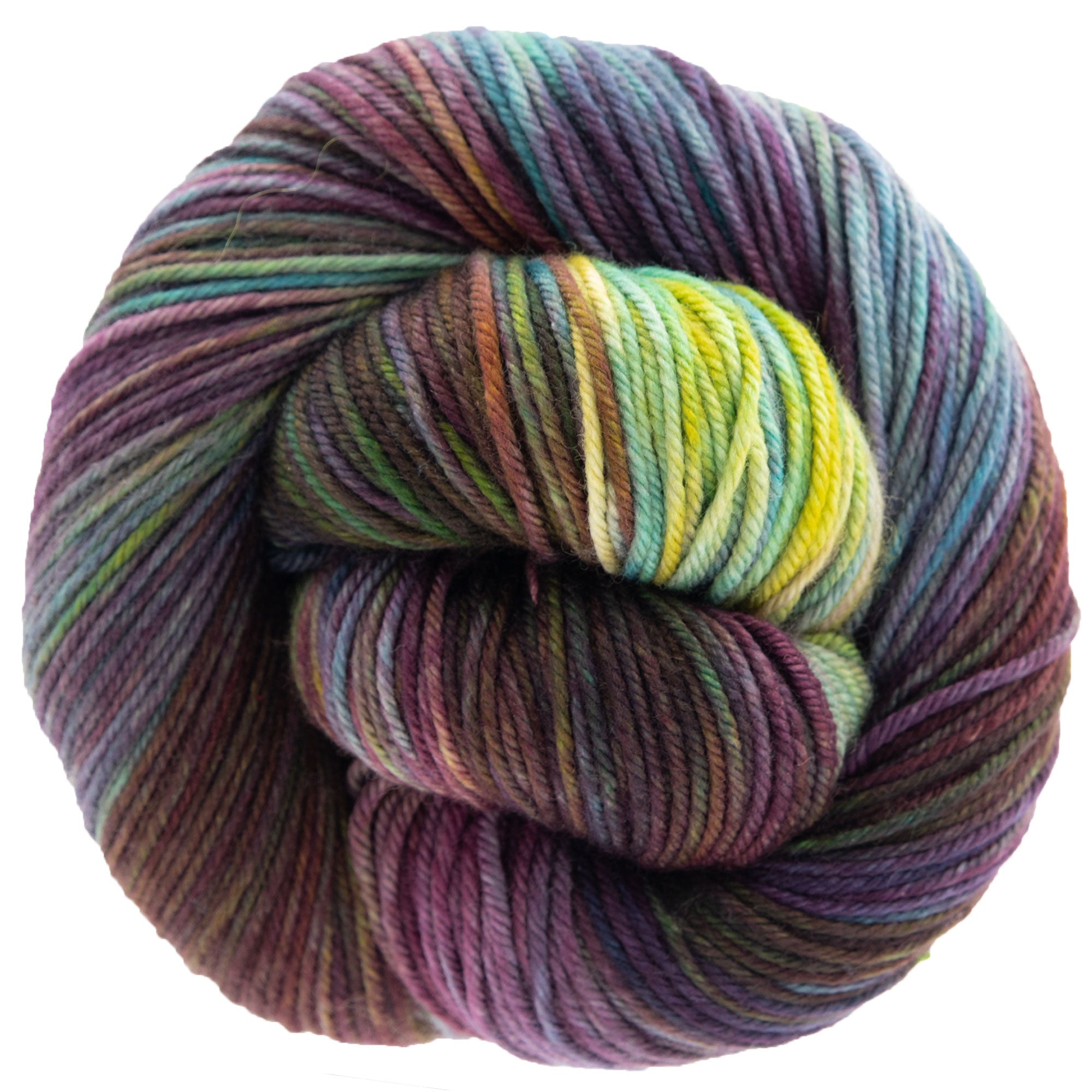Dream in Color Classy Yarn - Secret Garden: Extra Fine Superwash Merino Wool