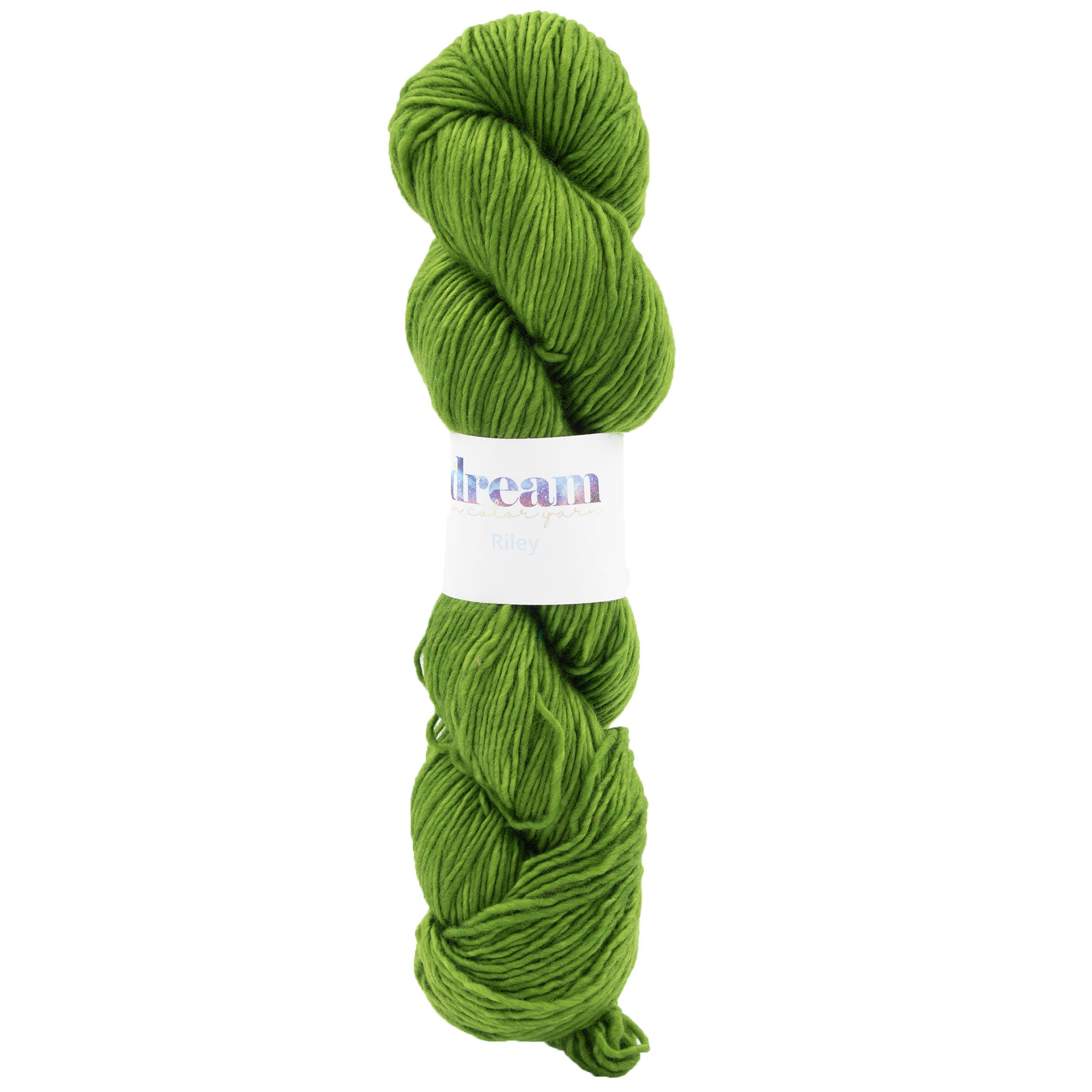Dream in Color Riley Yarn - Joshua Tree: Soft Superwash Merino for Knitting & Crochet