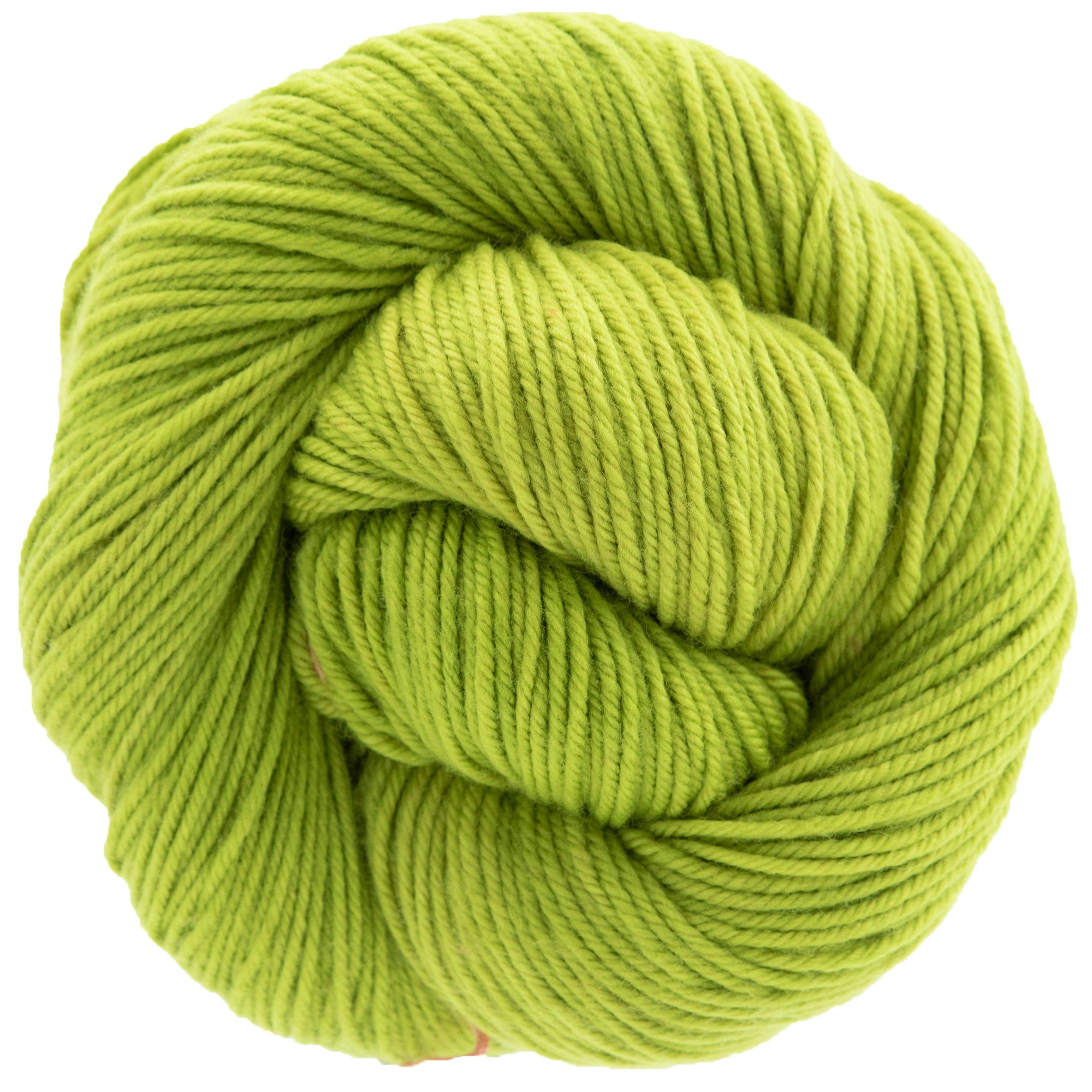 Dream in Color Classy Yarn - Exquisite Prickly Pear Shade